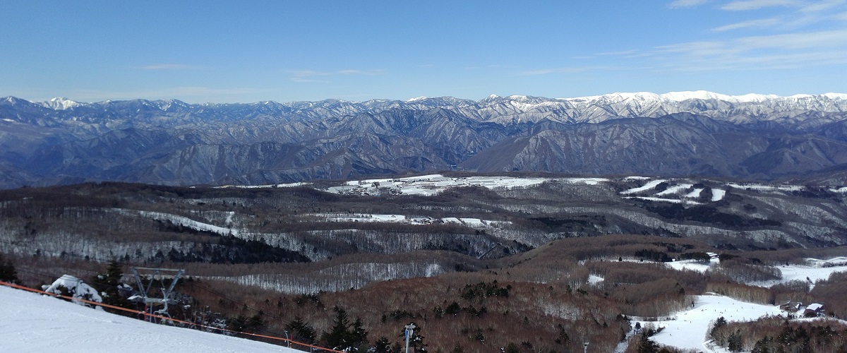 業務内容